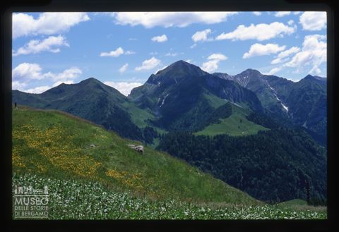 Panorama montano