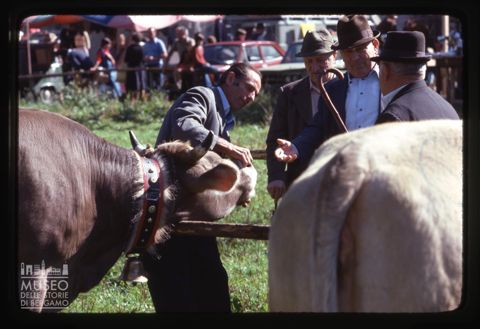 Mostra zootecnica bovina di Branzi
