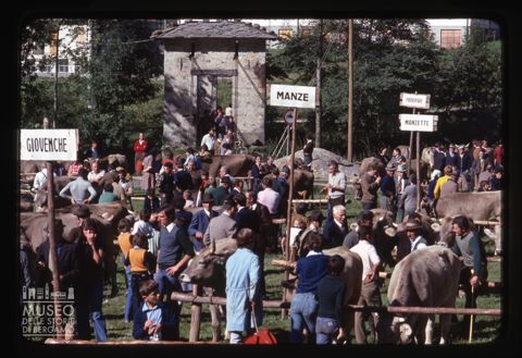 Mostra zootecnica bovina di Branzi