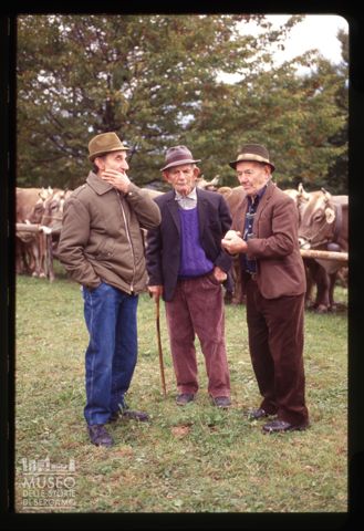 Mostra zootecnica bovina di Camerata Cornello