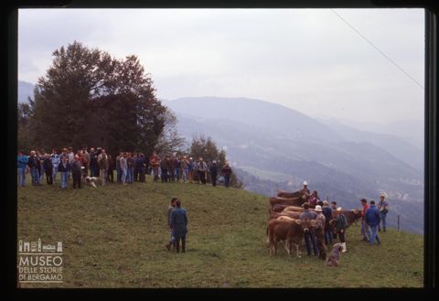 Fiera zootecnica bovina di Camerata Cornello