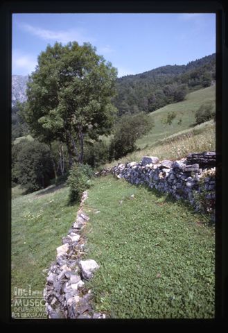 Antica mulattiera presso Cespedosio