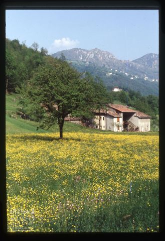 Paesaggio in località La Torre