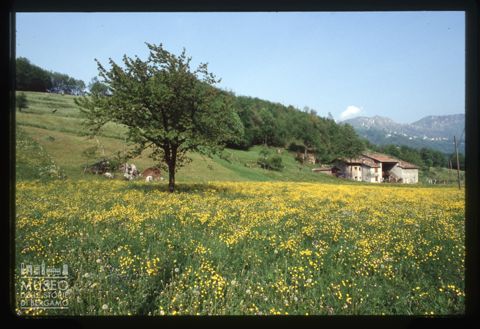 Paesaggio in località La Torre