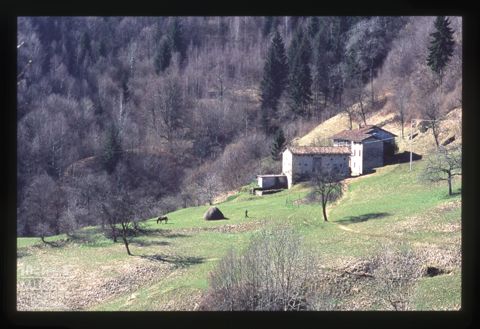 Paesaggio con cascine