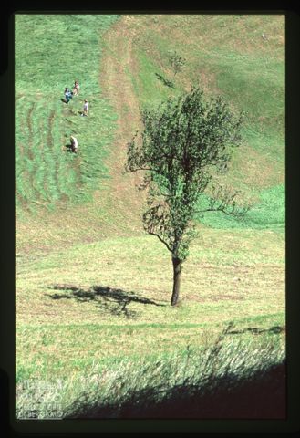 Paesaggio in Val Boione