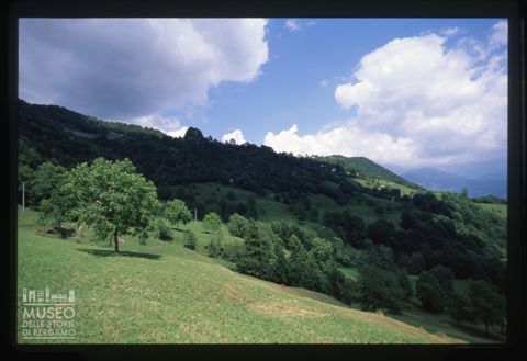 Paesaggio agreste