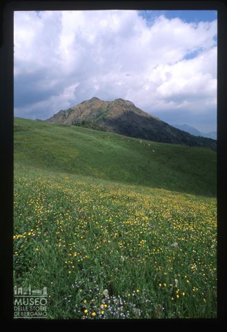 Il Monte Gioco