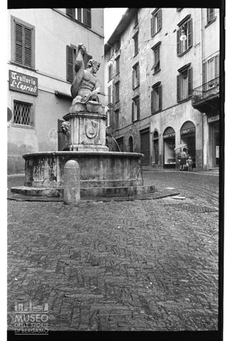La fontana del Delfino
