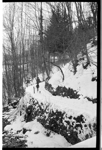 In un bosco della Valle Imagna