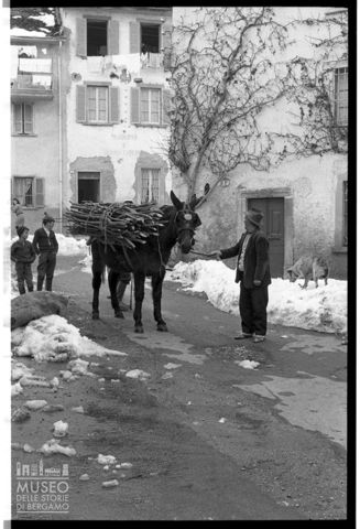 Trasporto della legna in Valle Taleggio
