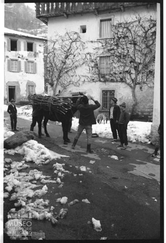 Trasporto della legna in Valle Taleggio