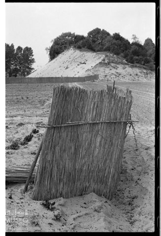 Delta del Po, paesaggio