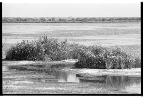 Delta del Po, paesaggio fluviale