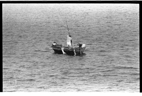 Delta del Po, Sacca di Scardovari