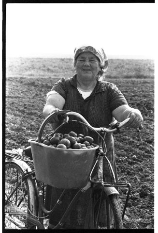 Delta del Po, tra Goro e Gorino, in provincia di Ferrara