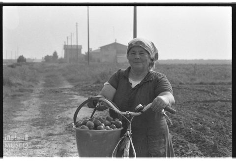 Delta del Po, tra Goro e Gorino, in provincia di Ferrara