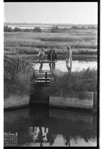 Delta del Po, Laguna di Porto Levante