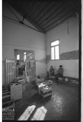 Delta del Po, mercato ittico di Scardovari