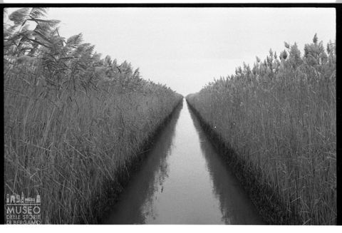 Delta del Po, in un canale
