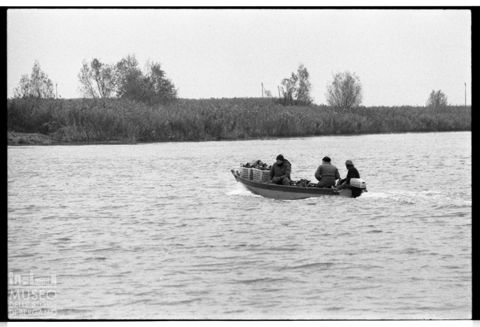Delta del Po, la pesca