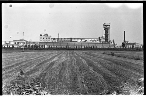 Delta del Po, industria