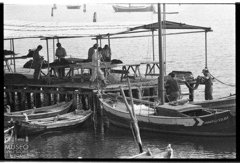 Delta del Po, la mitilicoltura nella Sacca di Scardovari