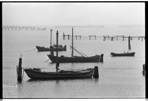 Delta del Po, la mitilicoltura nella Sacca di Scardovari