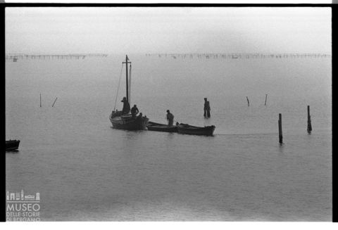 Delta del Po, la mitilicoltura nella Sacca di Scardovari
