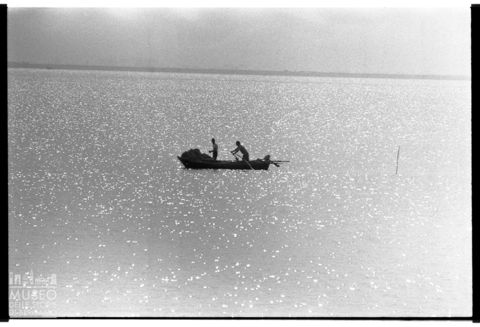 Delta del Po, Sacca di Scardovari