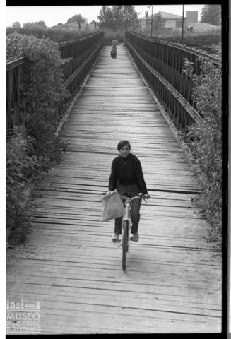 Delta del Po, Mesola