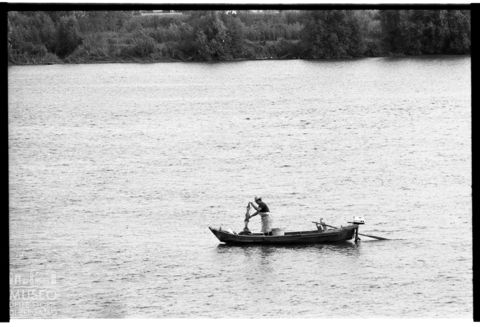 Delta del Po, la pesca nel Po di Venezia