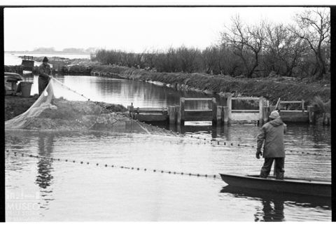 Delta del Po, le valli da pesca