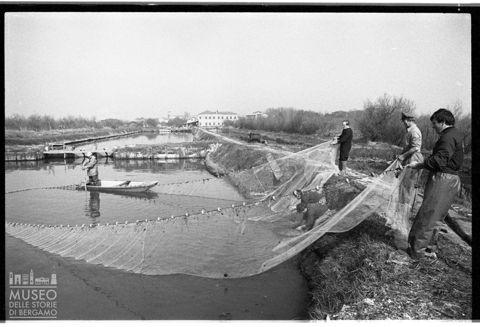 Delta del Po, l'allevamento del pesce