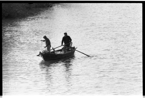 Delta del Po, la pesca