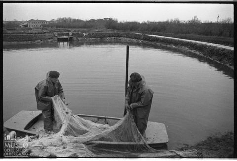 Delta del Po, l'allevamento del pesce