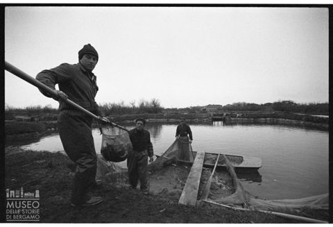 Delta del Po, l'allevamento del pesce
