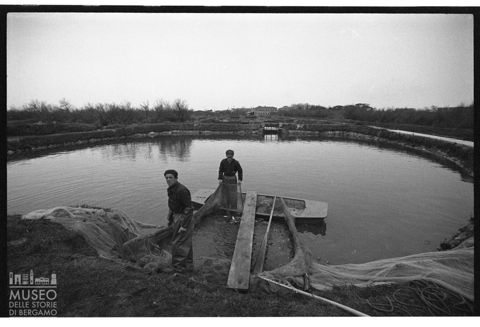 Delta del Po, l'allevamento del pesce