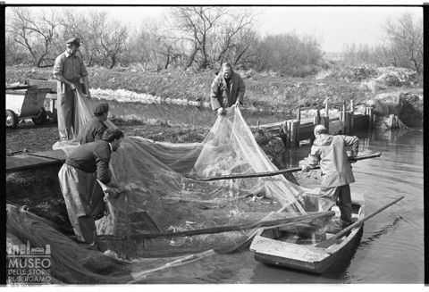 Delta del Po, le valli da pesca