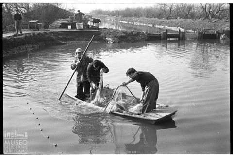 Delta del Po, le valli da pesca