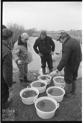 Delta del Po, le valli da pesca
