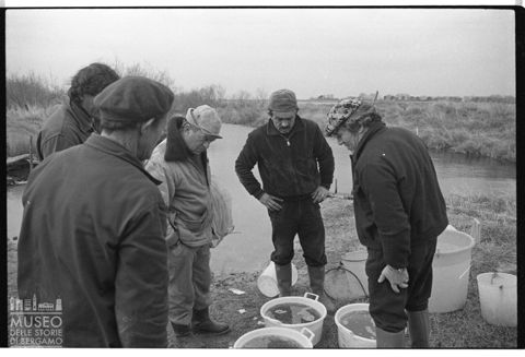 Delta del Po, le valli da pesca