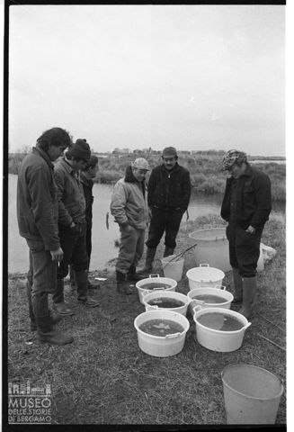 Delta del Po, le valli da pesca