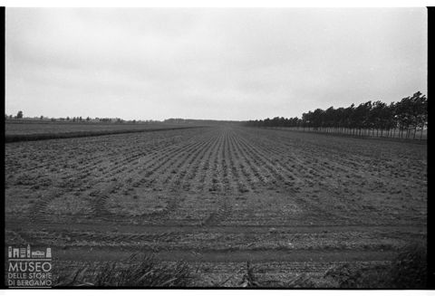 Delta del Po, campi coltivati