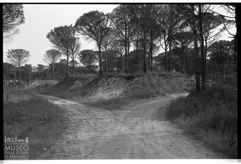 Delta del Po, paesaggio