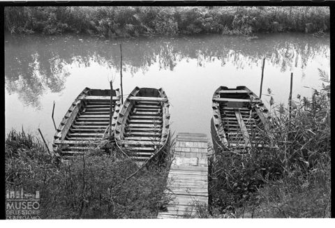 Delta del Po, Sacca di Scardovari
