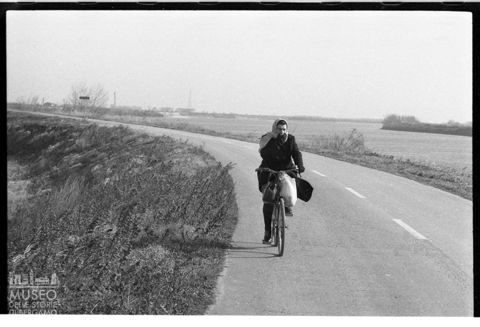 Delta del Po, donna in bicicletta