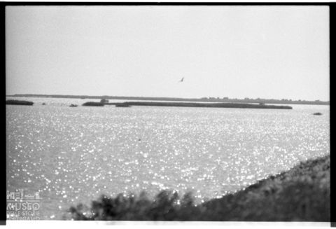 Delta del Po, paesaggio lagunare