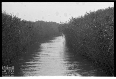 Delta del Po, paesaggio lagunare