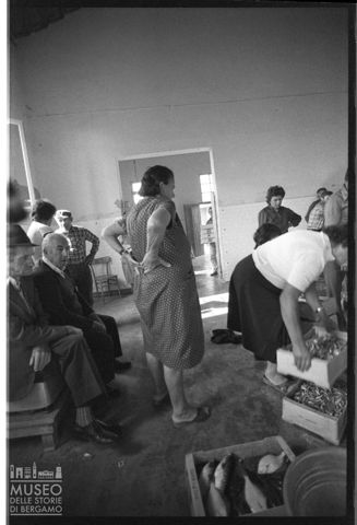 Delta del Po, mercato ittico di Scardovari